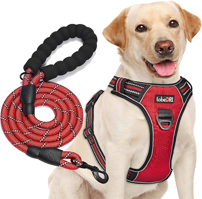 No Pull Dog Harness Adjustable Reflective Oxford Easy Control Medium Large Dog Harness with A Free Heavy Duty 5ft Dog Leash (M (Neck: 14.5"-20.5", Chest: 22"-28"), Red Harness+Leash)