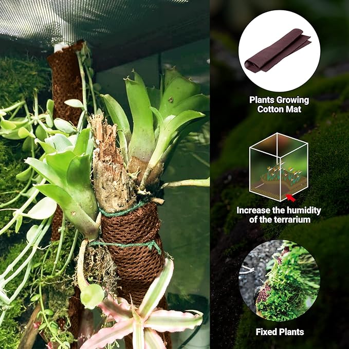 REPTIZOO 67 Gallon Large Reptile Terrarium 24"x18"x 36" Glass Paludarium Tank, Tall Reptile Enclosure Habitat with 10” Deep Base, Siphon Gravel Cleaner Set and Plants Growing Cotton Mat Included