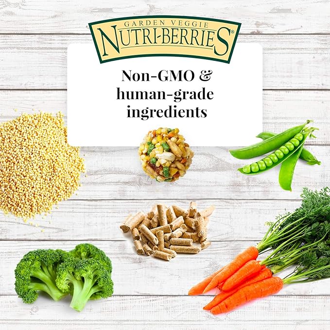LAFEBER'S Garden Veggie Nutri-Berries Pet Bird Food, Made with Non-GMO and Human-Grade Ingredients, for Parrots, 3 lb
