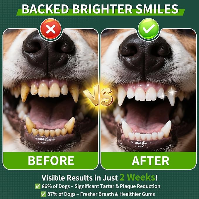 Dog Dental Powder, Dog Teeth Cleaning Powder with Natural Herbal Blend & Postbiotics, Dog Teeth Cleaning, Targets Tartar & Reduces Plaque & Bad Breath for Dogs & Cats, Mint -150Grams