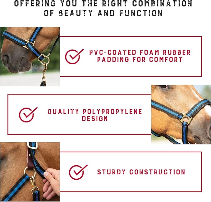 Weaver Equine Breakaway Horse Halter, Comfort Foam Padding, Adjustable Chin & Throat Snap Halters for Horses, Equine Tack,Average Size, Blue