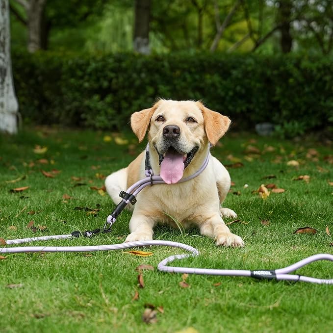 Rope Dog Leash, 4 ft Heavy Duty Dog Leash with Aviation Aluminum Auto Locking Carabiner, Strong Nylon Pet Lead for Small, Medium, Large Dogs (Purple, 4FT)