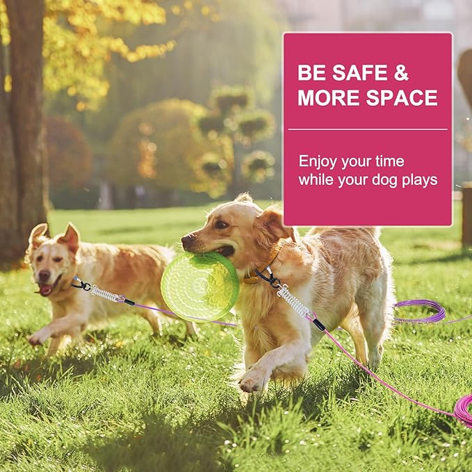 Snagle Paw Heavy Duty Dog Leads - 100FT-1000LBS, Tie Out Cable with Swivel Lockable Hook & Spring, Chew Proof Chain for Outside Dog Run