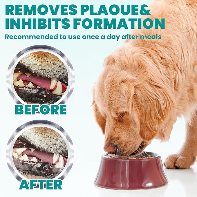 Wider Dental Care Finger Wipes 60 Counts,Teeth Cleaning Finger Wipes for Dogs & Cats,Reduces Plaque & Supports Oral Freshness,Small Animal Stain Removers, Unscented