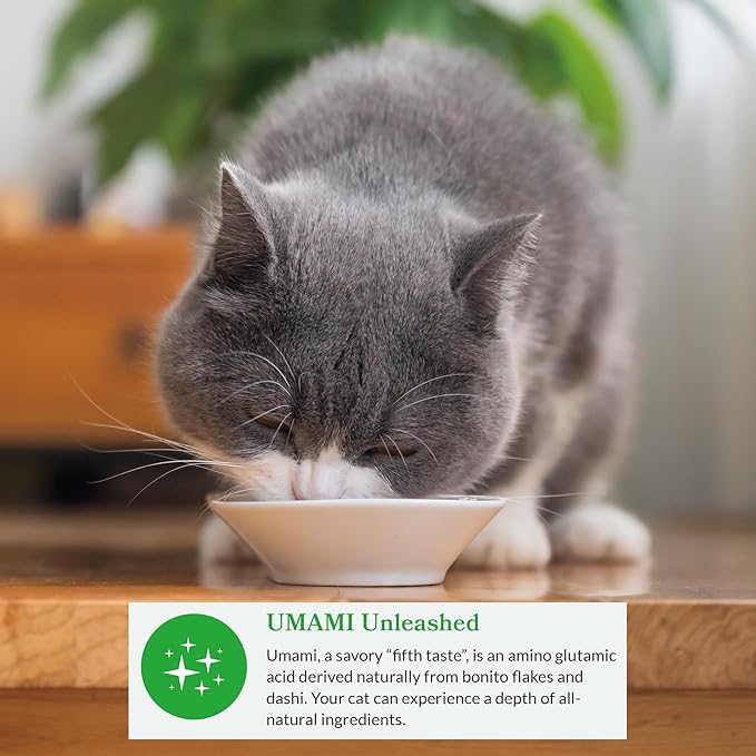 INABA Dashi Delights for Cats, Shredded Chicken with Bonito Flake Broth, 2.5 Ounce Cup, 12 Cups Total, Chicken Variety