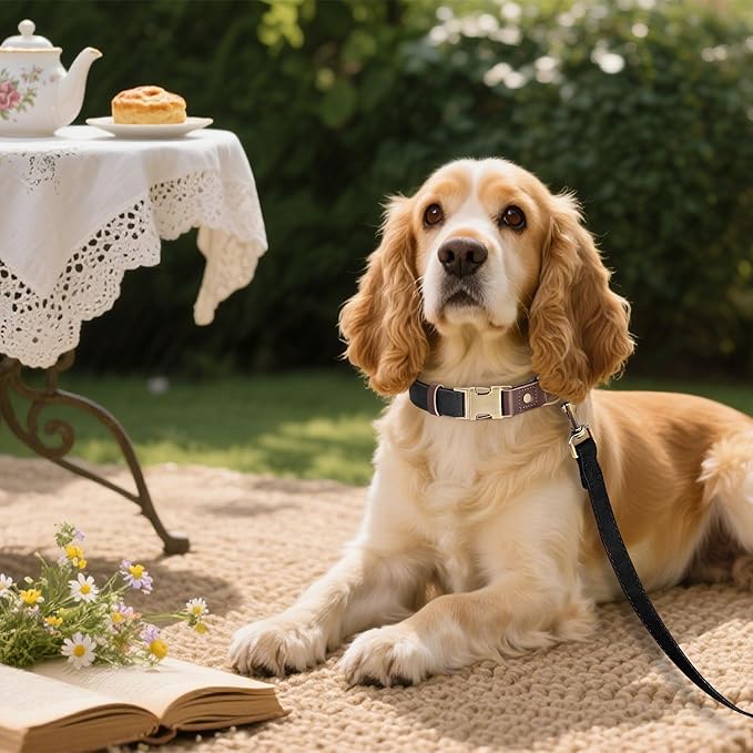 Didog Soft PU Leather Dog Collars for Medium Dogs,Classic Adjustable Dog Collars with Quick Release Metal Buckle,Easy Clean and Comfortable with Nylon Lining,Black,M Neck 13-19"