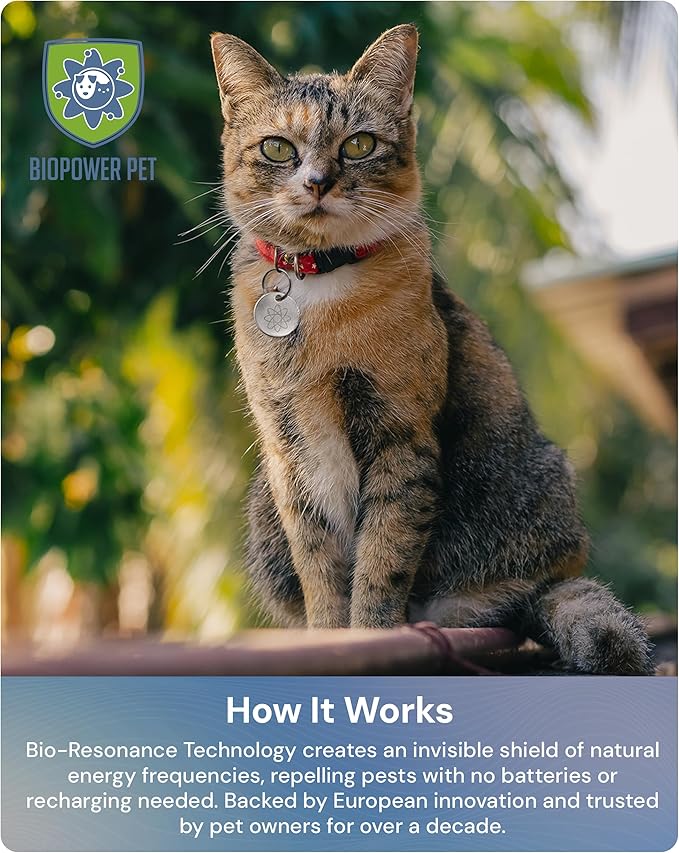 Natural Flea & Tick Repellent Collar Tag for Dogs & Cats – BioPower Pet Shield – Safe for Pets When Used as Directed – Lasts 1 Full Year - Regular Tag (1Pack)