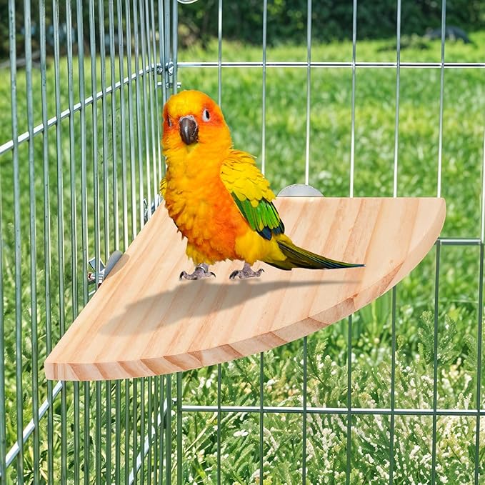 Bird Perch Platform Stand Wooden Parrot Perch Corner 6.7 Inches Fan Shape Playground Cage Accessories Parrot Stand Flat Perches for Bird Cages Corner Shelf for Birds Parrots Hamster Gerbil