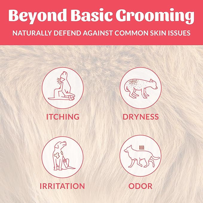 Skout's Honor Probiotic Dog Shampoo & Conditioner with Avocado Oil & Omega-3s, 97% Natural, Paraben & Sulfate-Free, Cruelty-Free, 16oz, Sunkissed Coconut, 2-Pack