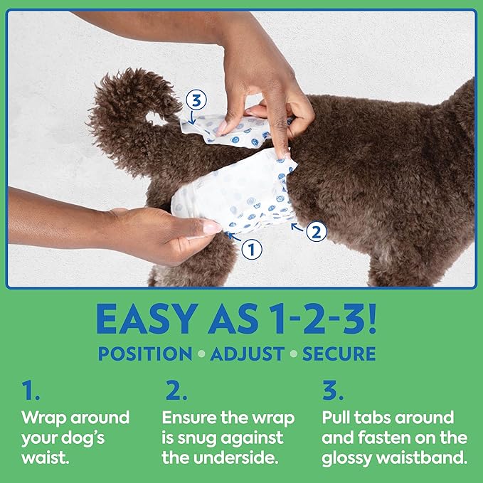 Out! PetCare Disposable Dog Diapers Male, Puppy Belly Band, Potty Training, Doggie Diapers, Belly Bands for Male Dogs, Puppy Training, Incontinence, (XS/S, 32ct)