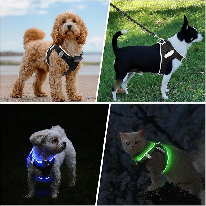 PceoTllar Light Up Dog Harness, LED No Pull Reflective Dog Harness, Flashing Lighted for Night Walking - Small/Medium (Black Blue,s)