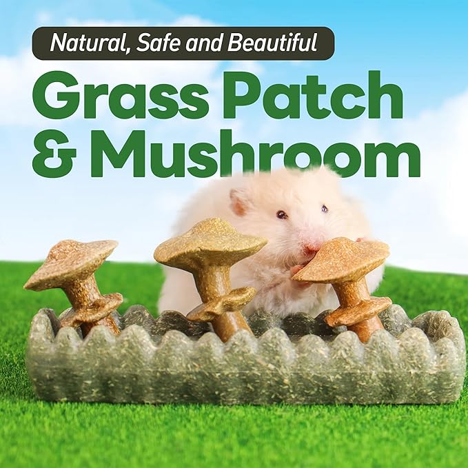TEEWY 4PCS Guinea Pig Chew Toys, Prevent Teeth Overgrowth, Natural Vegetables and Timothy Grass, Hamster Chew Toys, Guinea Pig Toys, Chinchilla Toys, Grass Patch & Mushrooms