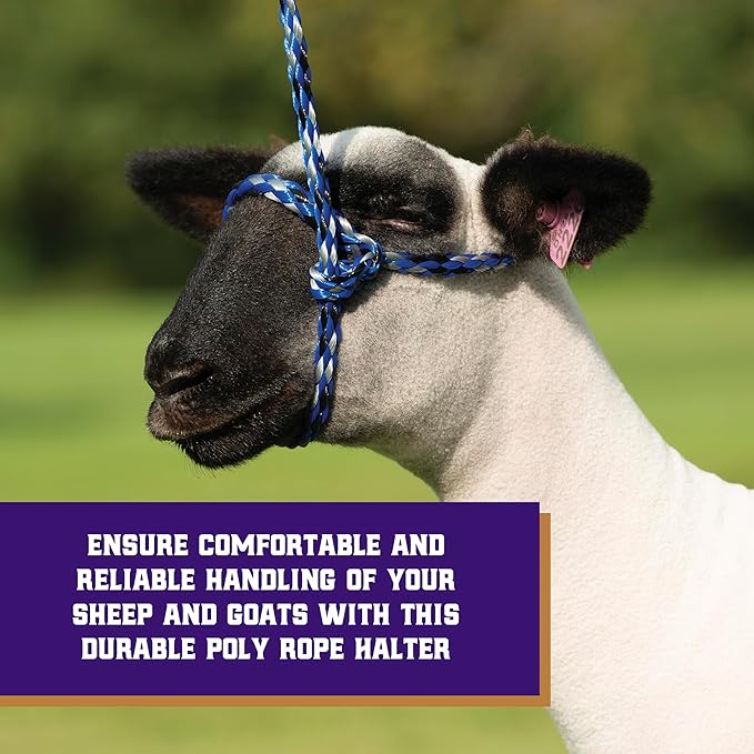 Weaver Leather Livestock Poly Rope Sheep Halter, Black