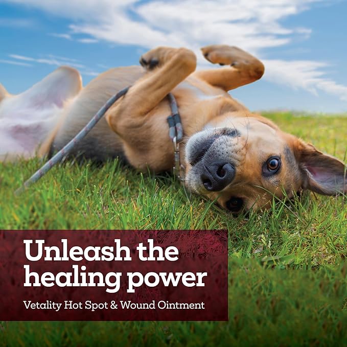 Hot Spot and Wound Ointment for Pets, Itch Relief for Dog Sores and Irritations, 2.5 oz