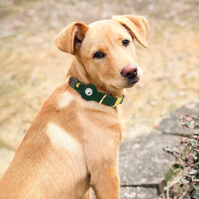 AirTag Dog Collar for Small Medium Large Breed - Adjustable Cute Pattern Dog Collar with Airtag Holder - Soft Leather Tracker GPS Apple Air Tag Pet Collars (Large, 17"-21" Neck Fit, Tribal)