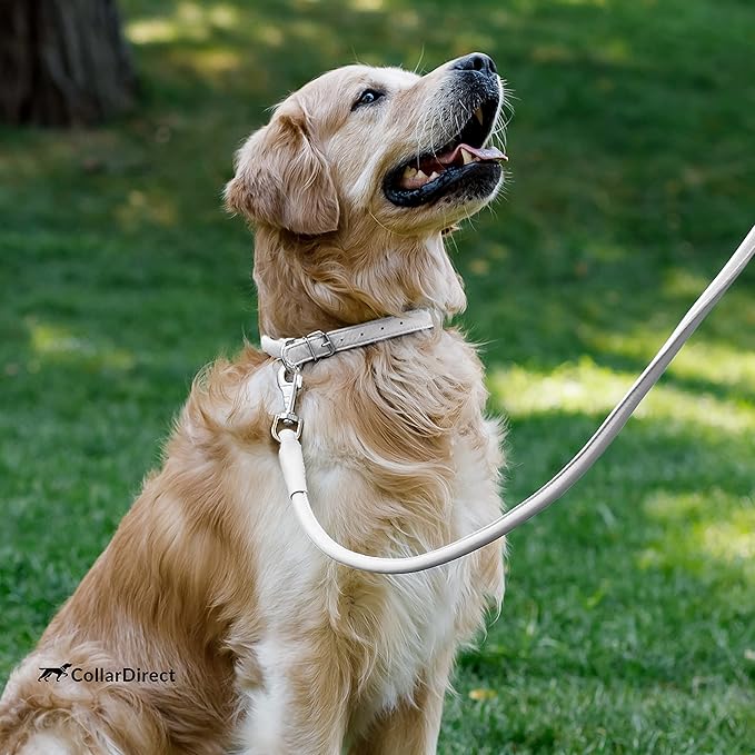 CollarDirect Rolled Leather Dog Collar, Soft Padded Round Puppy Collar, Handmade Genuine Leather Collar Dog Small Large Cat Collars 13 Colors (13-16 Inch, White Textured)