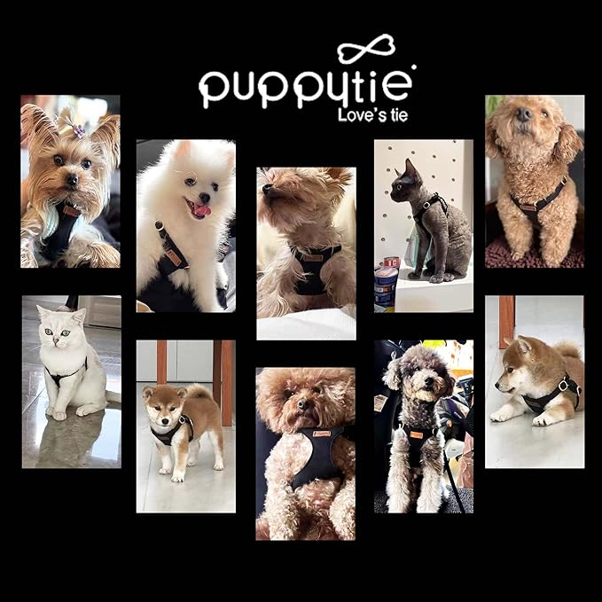 Puppytie No Pull Small Dog Harness with Multifunction Dog Leash,Lightweight Soft Adjustable No Choke Escape Proof Pet Harness Vest Pet Harness Vest,Black,M