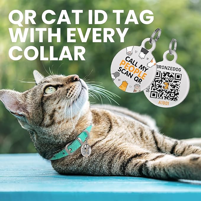 BRONZEDOG Leather Cat Collar with Removable Bells Non Breakaway Kitten QR Tag for Girl Boy (7" - 9" for Cats, Turquoise & Silver)
