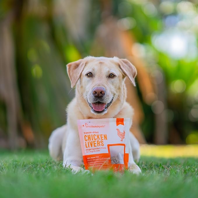 smallbatch Freeze Dried Dog Treats, Chicken Liver Treats for Dogs & Cats, High Protein, Single Ingredient Dog Treat for Training or Food Topper, Natural, Humanely Sourced Meat, Made in the USA, 3.5 oz