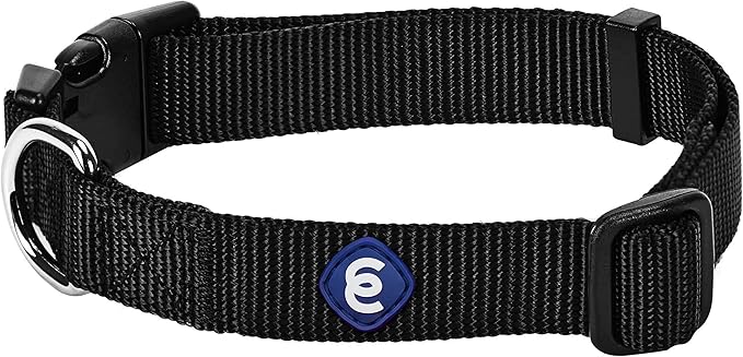Blueberry Pet Essentials Medium Dog Collar in Black | Adjustable & Eco-Friendly Durable Nylon Strap | Classic Collar for Medium Dogs, Boy & Girl Pets