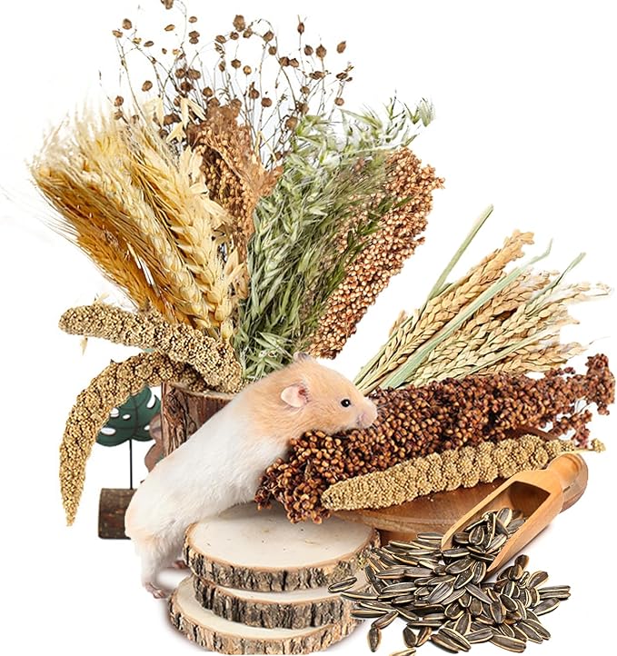 Natural Ear of Grain Flower&Herb Bedding Mate Habitat Decor, Adding Fun Hamster Accessories for Hamsters Gerbils Lemming