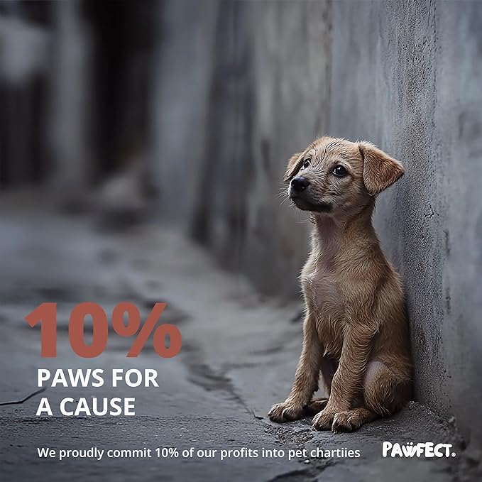 Pawfect Dog Poop Bags Rolls - Biodegradable Doggie Bags, Compostable Dog Waste Bags, BPI Certified Pet Waste Bags, Unscented, Large, Puppy Poo, Earth Friendly, Bolsas de Basura (240 counts)