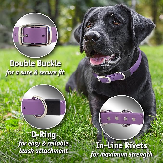 Biothane Custom Dog Collar – Waterproof, Stink-Proof Personalized Collar with Name & Phone Number – Durable, Many Sizes and Colors – Assembled in USA – Assembled in USA (Hot Pink)