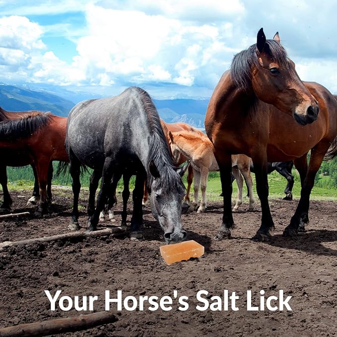 Licking Salt for Horse, 100% Pure Himalayan Pink Salt Chunks, 6 LBS, Animal Feed Salt Chunks, Horse Salt Licks, Natural Mineral Salt - Pack of 2