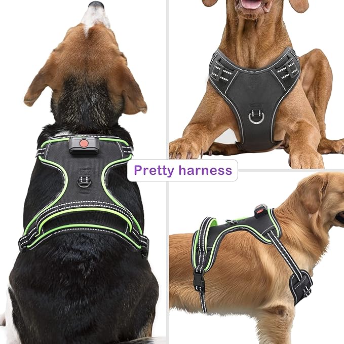 Rechargeable LED Dog Harness - No Pull, 4 Point Adjustable, Small/Medium/Large/X-Large Sizes