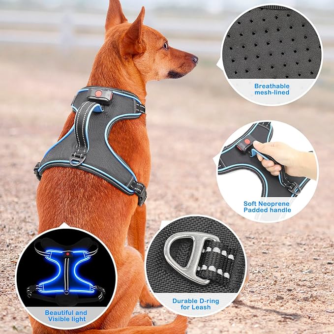 LED Dog Harness, No Pull, Light Up, Rechargeable, Blue, Large
