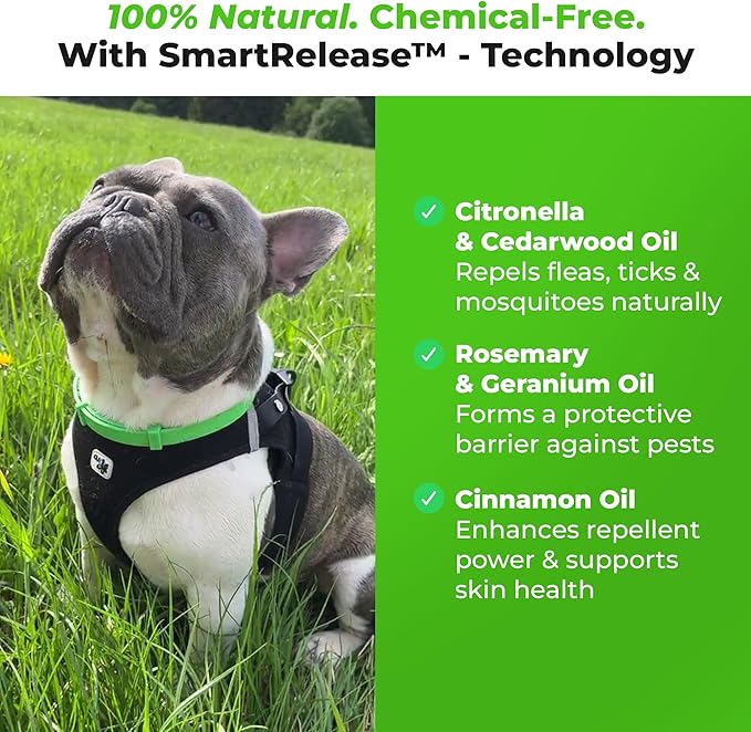 FurLife Flea and Tick Collar for Dogs – Waterproof Blue Dog Collar, Pet Supplies for Tick and Flea Prevention for Dogs, Safe for All Breeds