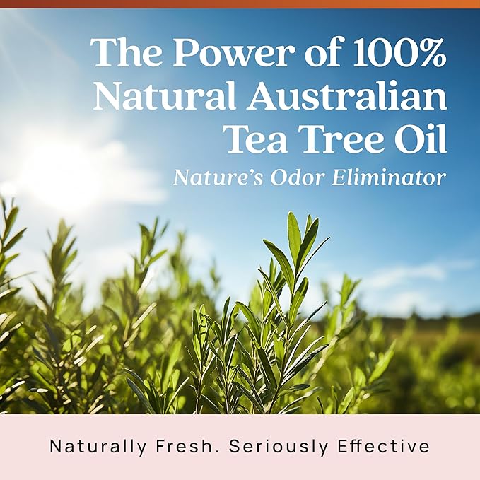 Azuna Air Freshener & Odor Eliminator for Strong Odor | 1 Room Kit Includes (1) Empty Luxe Glass Jar & 8oz Refill with Tea Tree Essential Oil Gel | Sandalwood | Last 60-90 Days