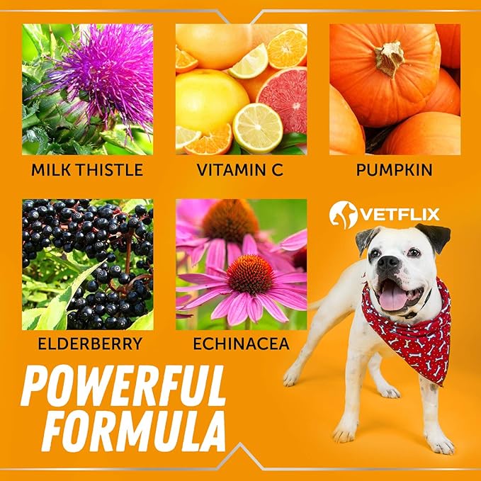 Allergy Immune Anti Itch & Hot Spots - Made in USA Natural Pet Supplement for Cat & Dog Allergy Relief with Turmeric & Milk Thistle -Seasonal Allergies Digestive Treatment for Dogs & Cats - 2 Fl Oz