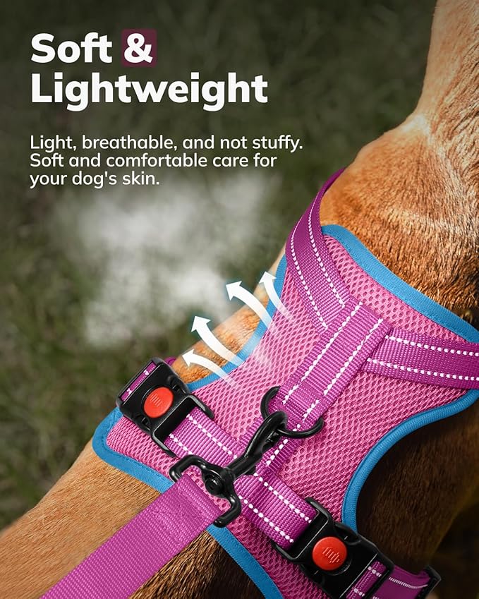 MIDOG No-Pull Dog Harness | Adjustable & Reflective Pet Harness Leash Set for Small Medium Large Dogs Walking, Training| No Choke, Front Clip, Soft Padded Vest with Easy Control Handle - Pink, XL
