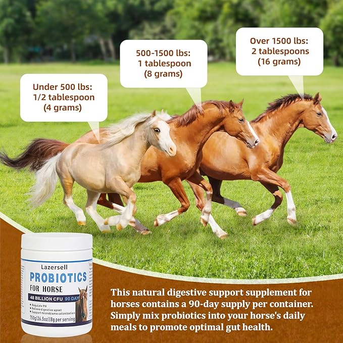 Probiotics for Horses Dietary Supplement, All-Natural Digestive System Maintenance Formula Equine Digestion Support Horse Health Supplements (90 Days)