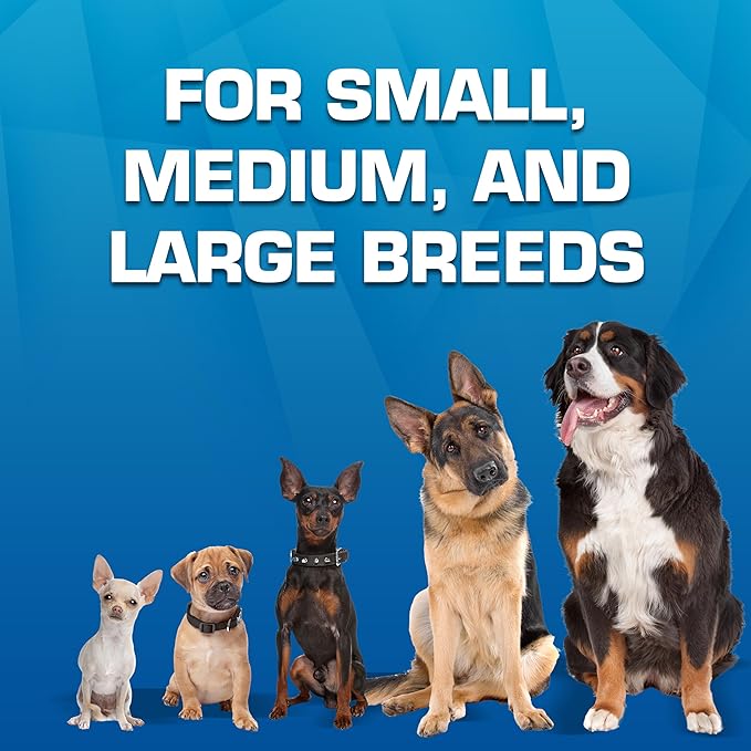 Nerf Dog Toy Gift Set, 3-Piece Set of Outdoor Dog Toys for Fetch, Includes Checker Crunch Ball, Spike LED Squeak Ball and Tire Squeak Football