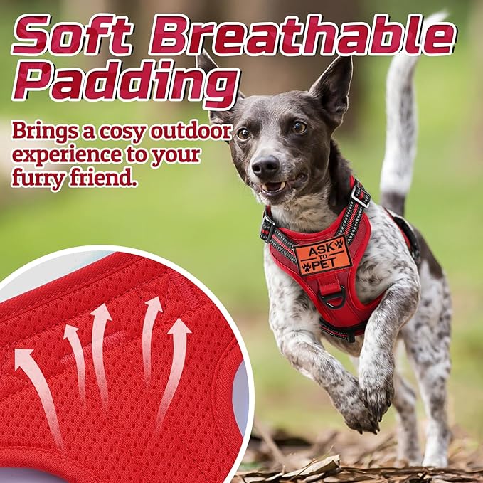 rabbitgoo Tactical Dog Harness Medium Sized Dog, No Pull Military Service Vest with Handle & Molle, Easy Control for Training Walking, Adjustable Reflective Straps, Red, M