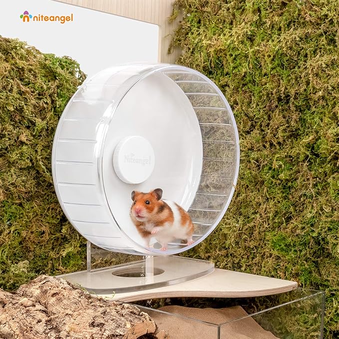 Niteangel Super-Silent Hamster Exercise Wheels: - Quiet Spinner Hamster Running Wheels with Adjustable Stand for Hamsters Gerbils Mice Or Other Small Animals (M, White)