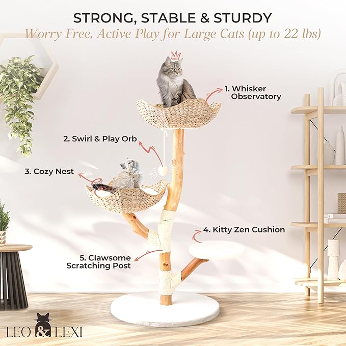 Real Wood Modern Cat Tree Tower, Cat Scratching Post with Bed for Indoor Cats Large Adult, Solid Wooden Climbing Tower, Cute Wicker Condo, Aesthetic Stand, Boho Luxury Pet Furniture