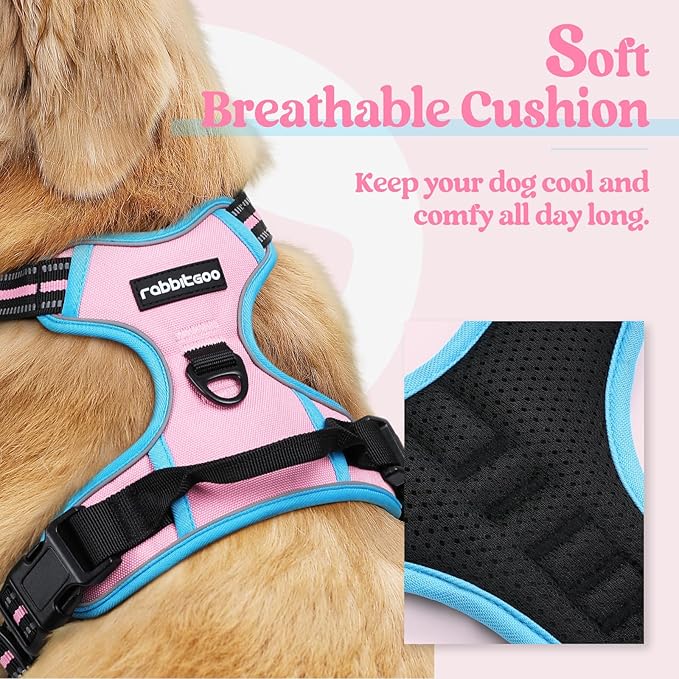 rabbitgoo Dog Harness No Pull with 2 Leash Clips, Adjustable Soft Padded, Reflective Oxford No Choke Pet Vest with Easy Control Handle for Small Dogs, Pink & Blue, S