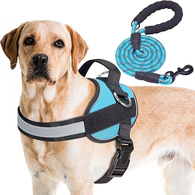 Haapaw Essential Dog Harness, No Pull Pet Vest with 3 Leash Clips, No Choke, Reflective, Adjustable and Padded, for Easy Walking and Training for Large Dogs(L, Blue)