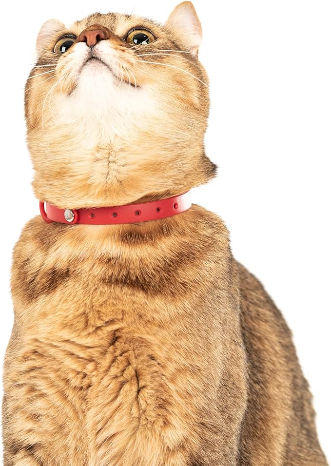 Cat Collar 2 Pack - Soft, Comfortable, and Lightweight Safety Breakaway Collar with Name Tag Ring for Outdoor Cats and Sensitive Skin Kittens by Nuvuq (6 ⅞" to 10 ¼", Red)