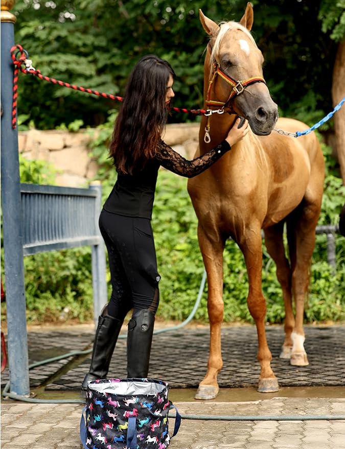 Harrison Howard Horse Grooming Kit 11-Piece Equine Care Series Horse Brush Sets with Organizer Tote Bag Tack Room Supplies Shedding Grooming Massaging Tools Black Brushstroke Ponies