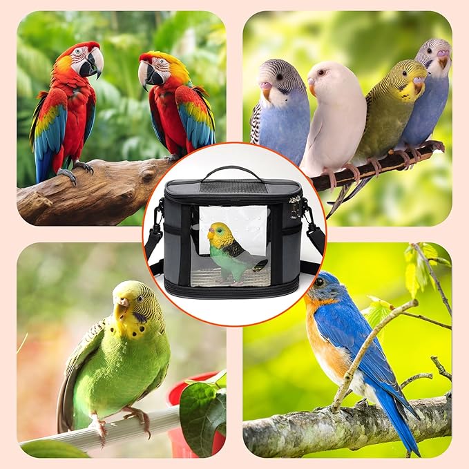 Bird Travel Carrierm, Small Bird Travel Backpack Carrier Cage with Tray and Breathable Clear Window, for Parakeet Cockatiel Budgies, for Camping Hiking (Large-Pink)