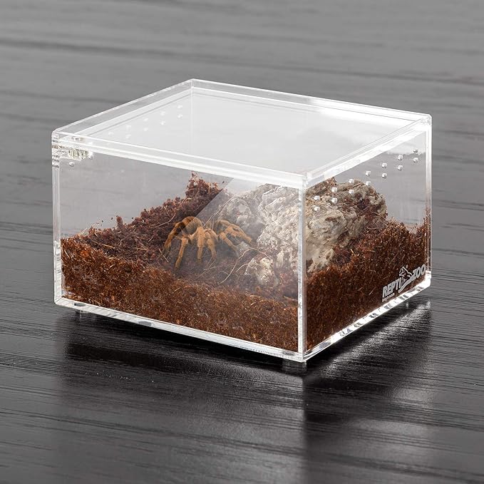 REPTI ZOO Magnetic Acrylic Case 4.1"x3.3"x2.5" Nano Enclosure Reptile Breeding Box Terrarium Cage Tank Tarantula Scorpion Sling Isopods Lizards Roach Invertebrates Insect Mantis