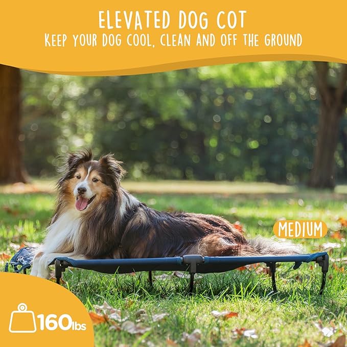 Daisy Cot, Medium Foldable Elevated Dog Bed, Portable Raised Outdoor Folding Dog Cot, Cooling, Chew Proof, Waterproof, Heavy Duty Up to 160 Lbs for Camping/Home, Dark Blue, 32"x 19"x6"