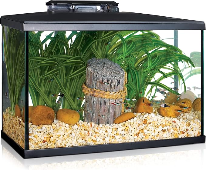 Marina 5 Gallon (19 L) LED Aquarium Kit – Ideal for Beginner Aquarists and New Fish-Keepers