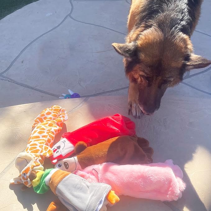 Jalousie 5 Pack Stuffingless Dog Squeaky Toys Dog Toy w/Durable Liner No Stuffing Dog Toy - Dog Toys Crinkle Paper Squeaker Toy for Medium Large Dogs (5 Pack - w/Bottle Insert Pouch)