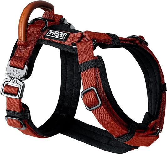 MADE TO ROAM Premium Explorer Harness - Y-Shaped Dog Harness with Adjustable Durable Nylon, Soft Padding, Metal Buckles and Leather Handle for Small, Medium, Large Dogs (Texas Flair, Size 7)