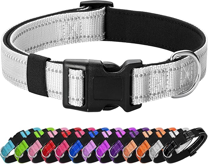 Reflective Dog Collar Padded with Soft Neoprene Breathable Quick Release Basic Dog Collars for Puppy Small Dogs Girl Boy Xs Silver